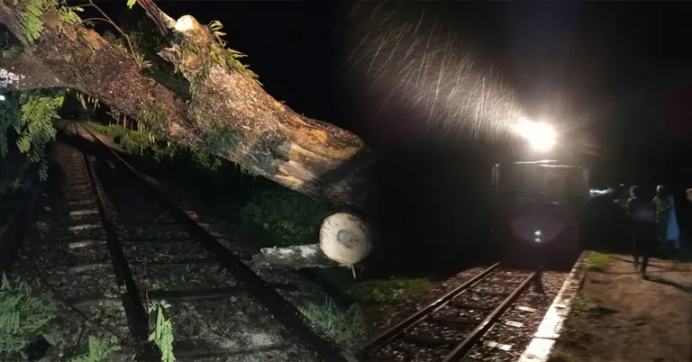 রেলপথে গাছ পড়ে বন্ধ ছিল ট্রেন চলাচল